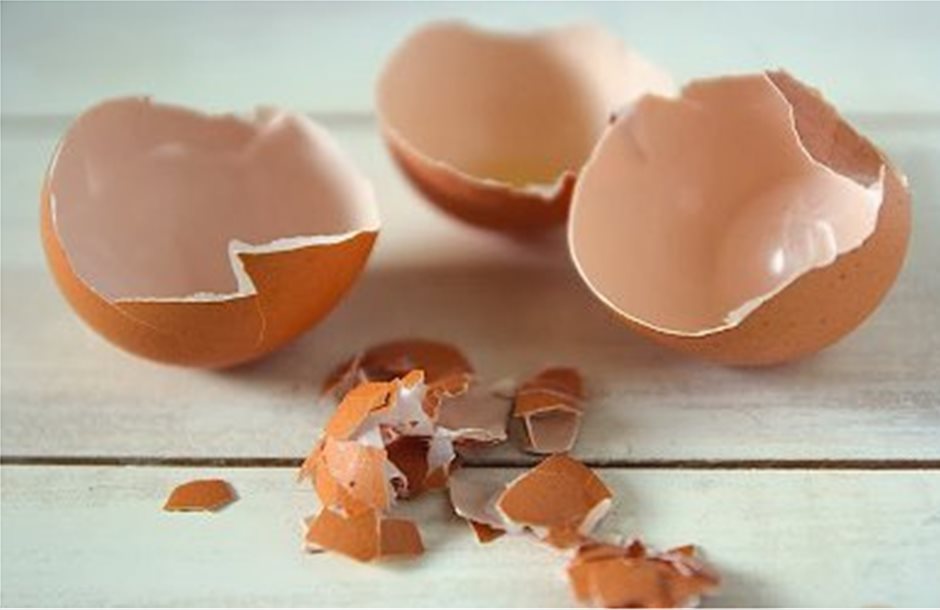 Βιομηχανική ανακύκλωση για τα τσόφλια των αυγών